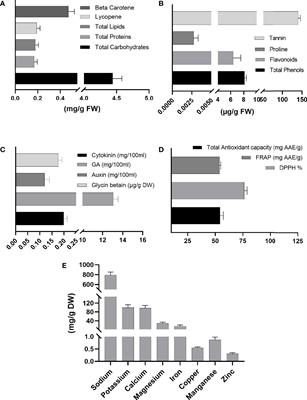 Sargassum wightii Aqueous Extract Improved Salt Stress Tolerance in Abelmoschus esculentus by Mediating Metabolic and Ionic Rebalance